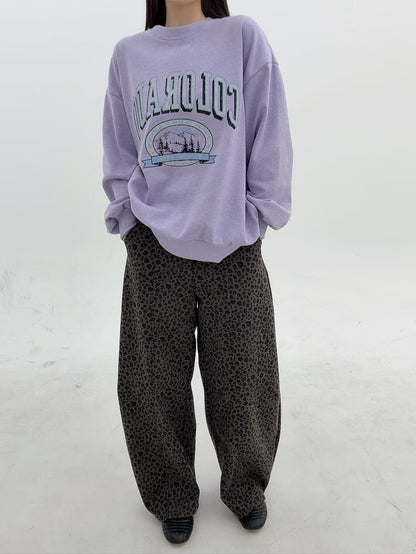 1B108 美式字母大學T