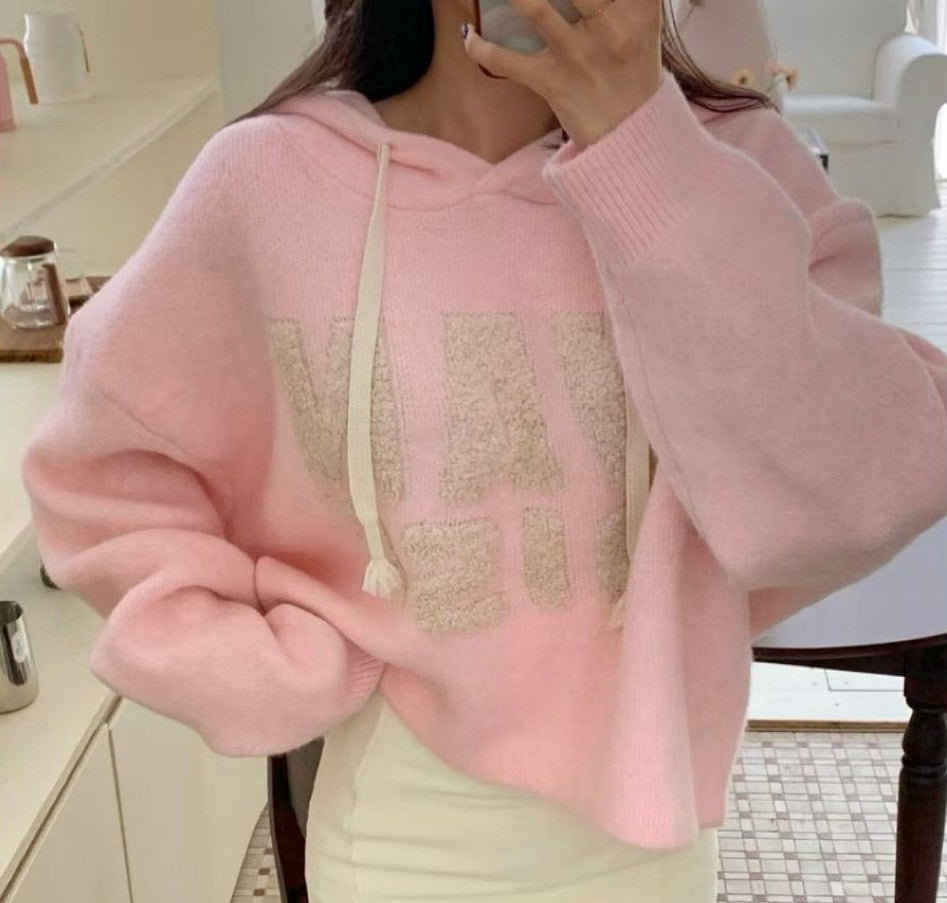 1D121 字母連帽毛衣